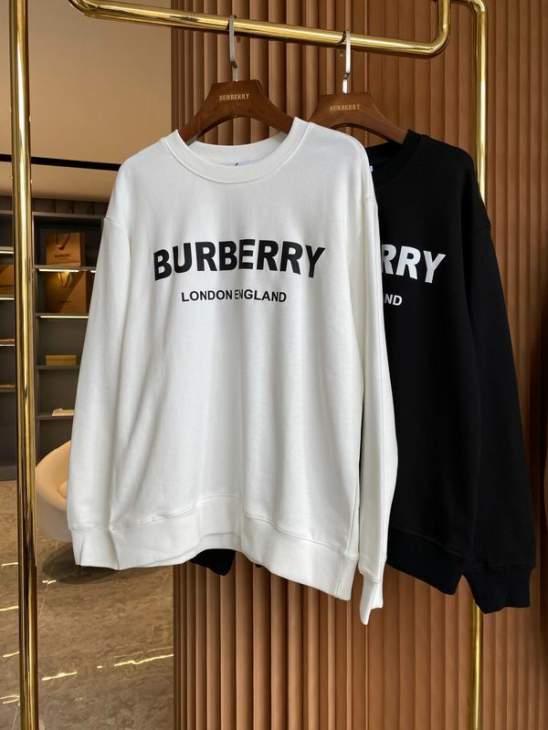 Picture of Burberry Sweatshirt _SKUBurberryS-2XLaztx872930982